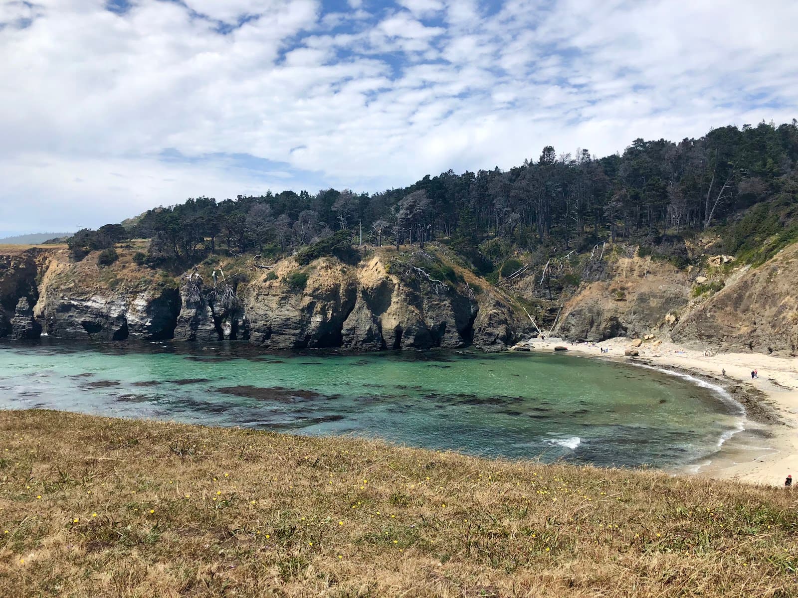 Stump Beach Cove, Jenner, CA
