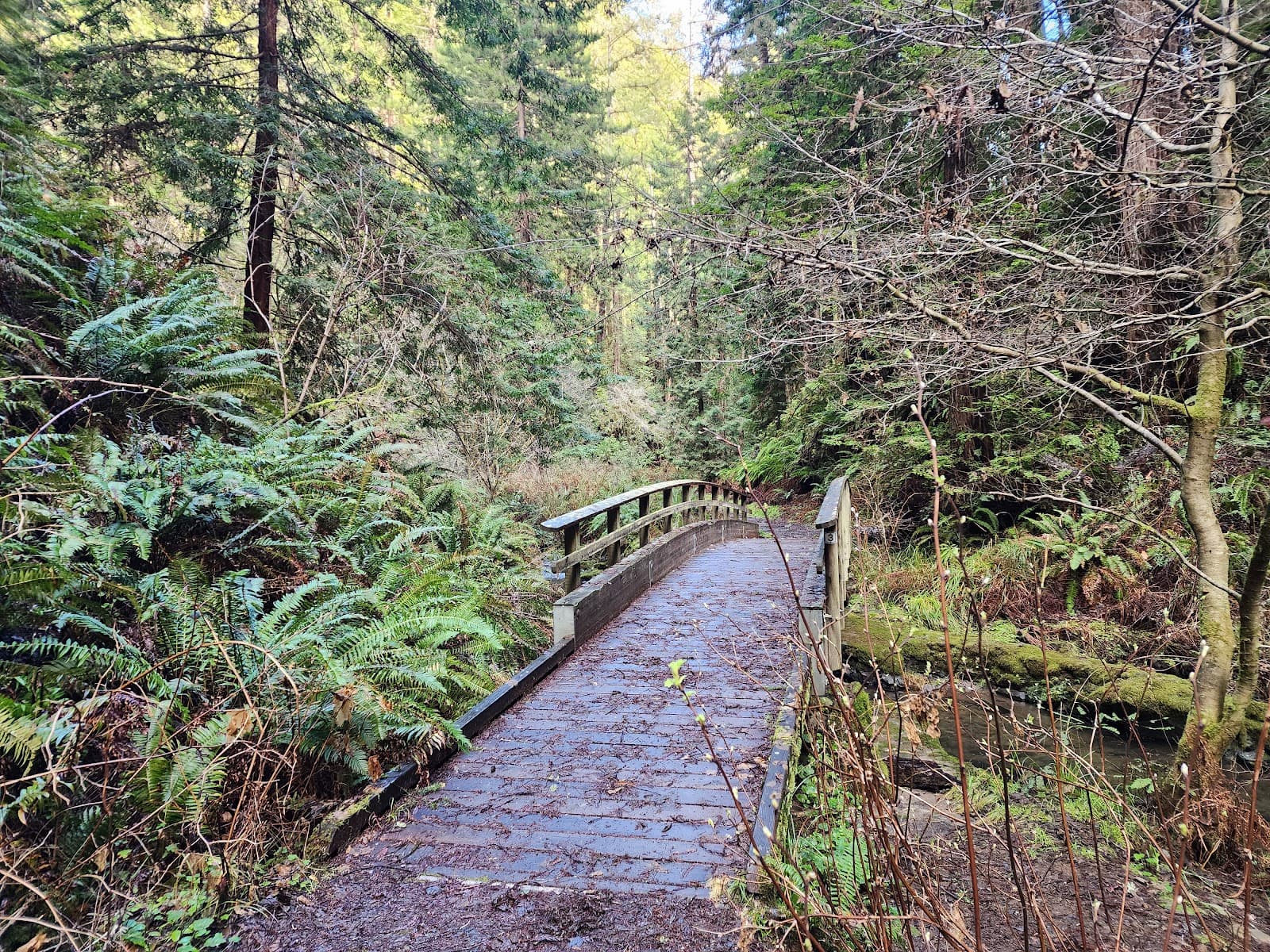 Van Damme State Park, Little River, CA