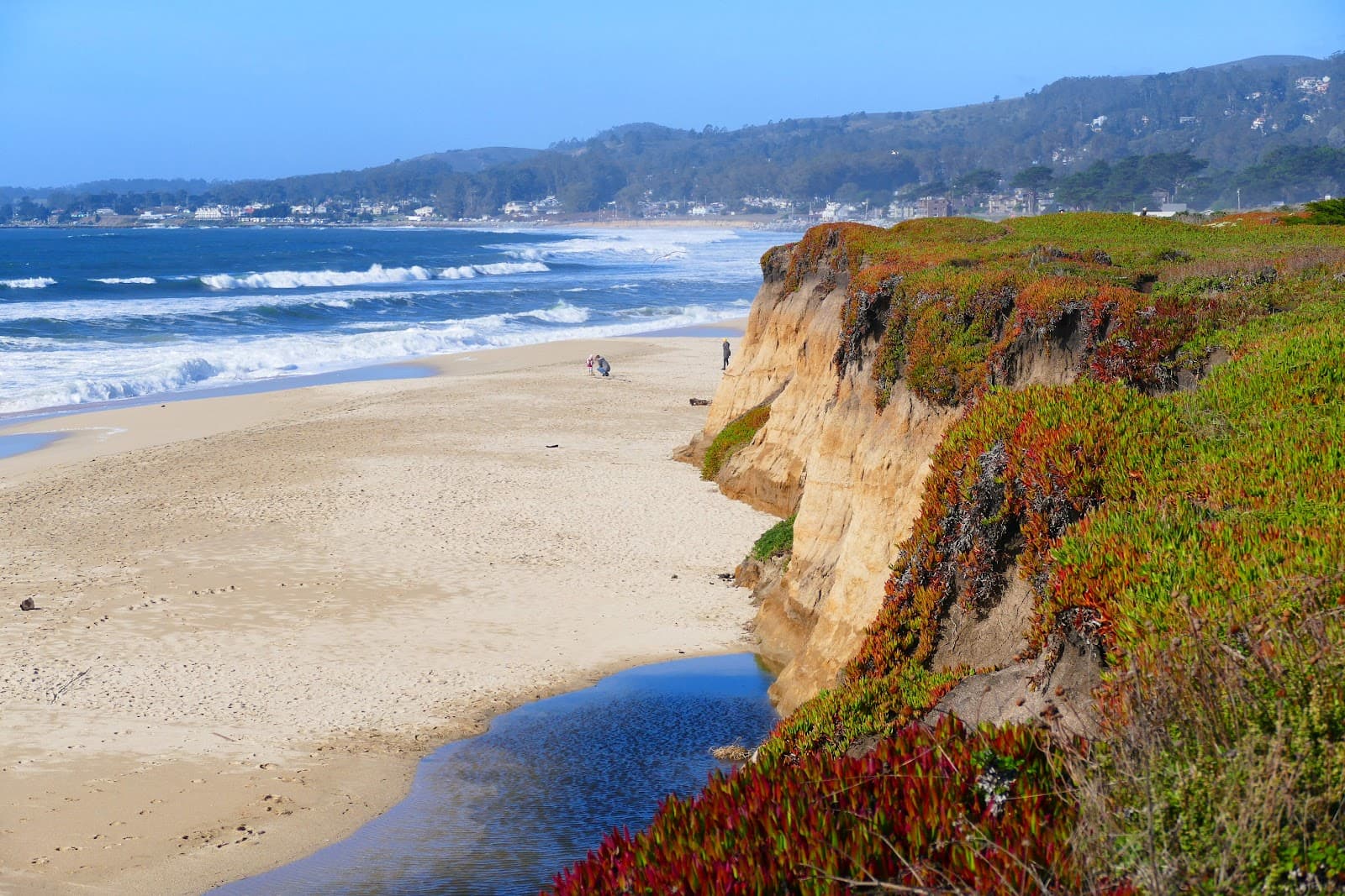 Venice Beach, Half Moon Bay, CA