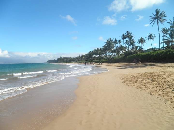 Wailea Beach, Kihei, HI