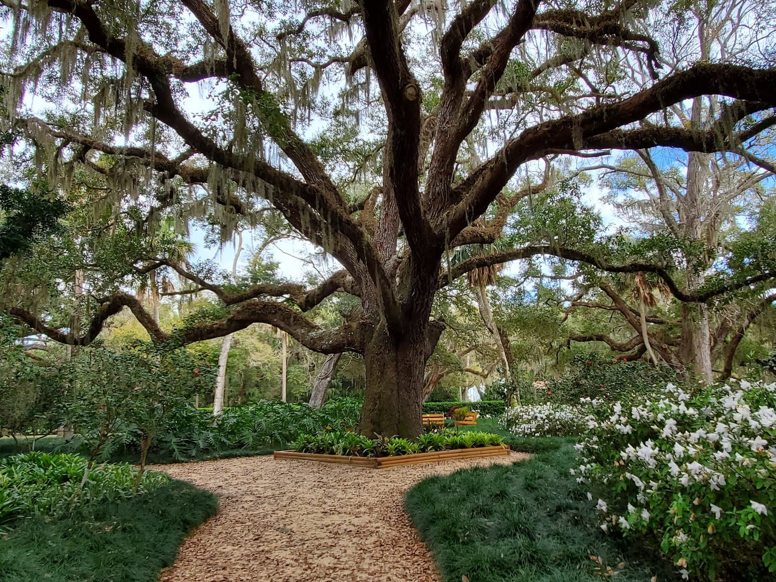Washington Oaks Gardens State Park, Palm Coast, FL