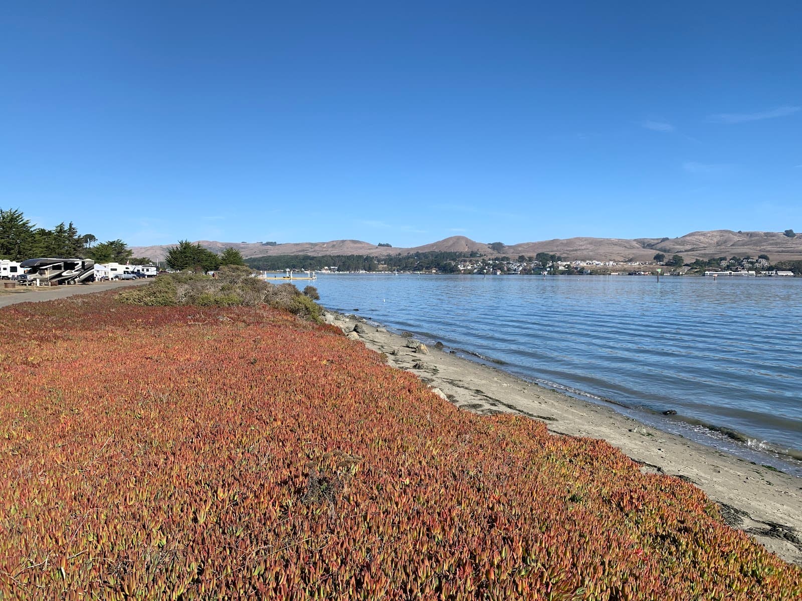 Westside Regional Park, Bodega Bay, CA